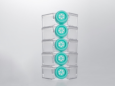 0.22μm疏水濾膜蓋，通氣阻水，高效阻菌；