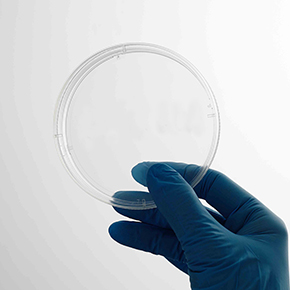 CellDETACH?溫敏細(xì)胞培養(yǎng)器,溫度感應(yīng)細(xì)胞培養(yǎng)表面