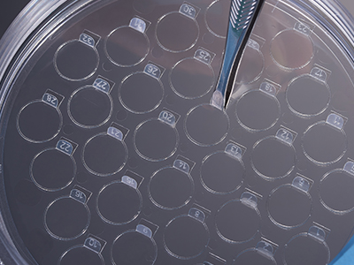 細(xì)胞爬片柄成一定角度翹起，方便操作者直接夾取