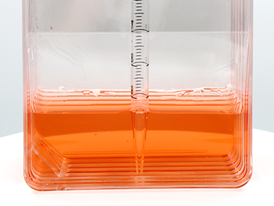 允許10mL移液管直接在瓶內進行液體吸取或收取細胞