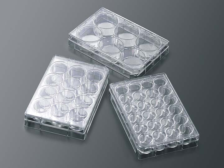 內(nèi)頁720×540 拷貝1.jpg