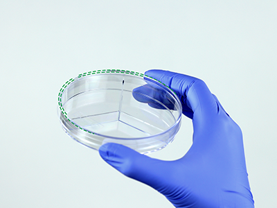 皿蓋邊緣突起設計，有利于培養(yǎng)皿穩(wěn)定疊放